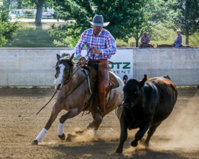 Anyware Bet <BR> AQHA 5884167